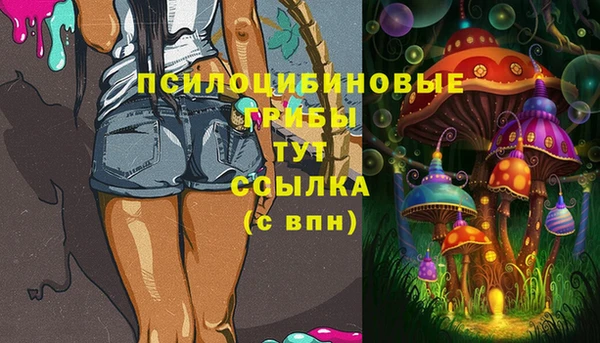 первитин Балахна