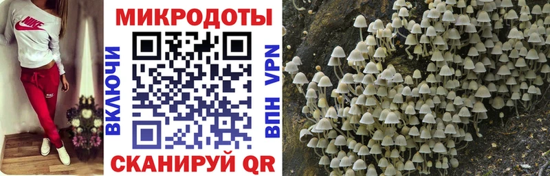 Купить где  Белая Калитва  Галлюциногенные грибы Psilocybe 